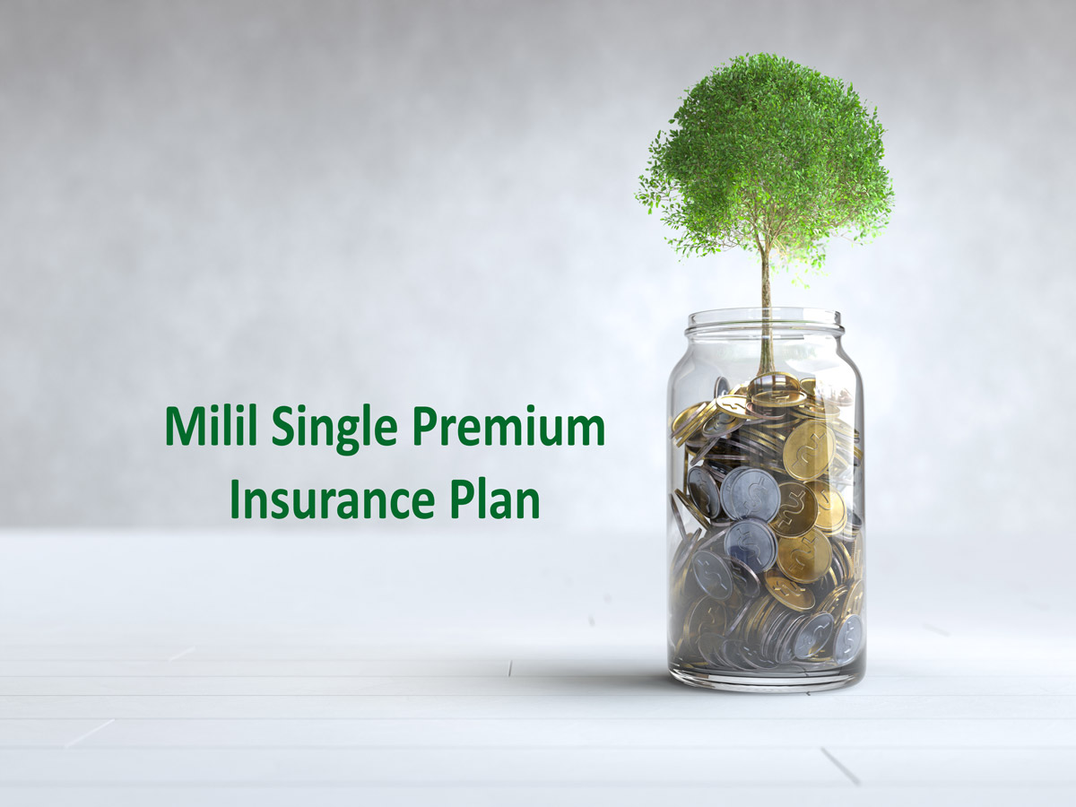 Plan 09: Single Premium Insurance Plan